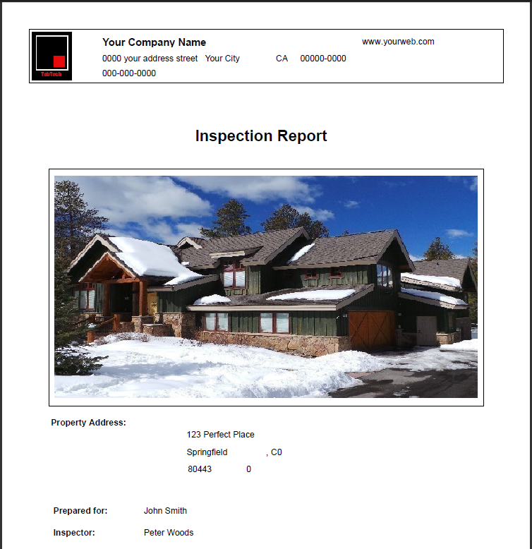 Sample Inspection Report